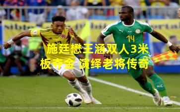 施廷懋王涵双人3米板夺金 演绎老将传奇