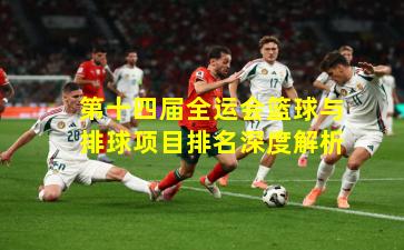 第十四届全运会篮球与排球项目排名深度解析