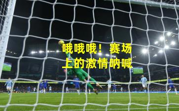 哦哦哦！赛场上的激情呐喊
