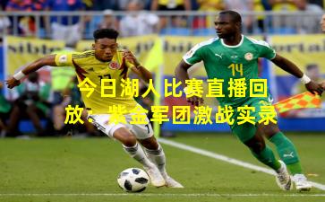 今日湖人比赛直播回放：紫金军团激战实录