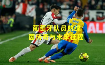 葡萄牙队员的绿茵传奇与未来征程